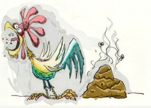 Chicken-Shit-300x216