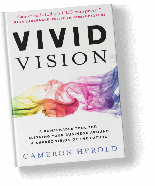 vivid vision